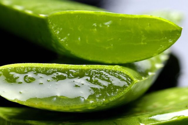 Grossiste en cosmétiques à l'Aloe Vera | MGR-Distribution