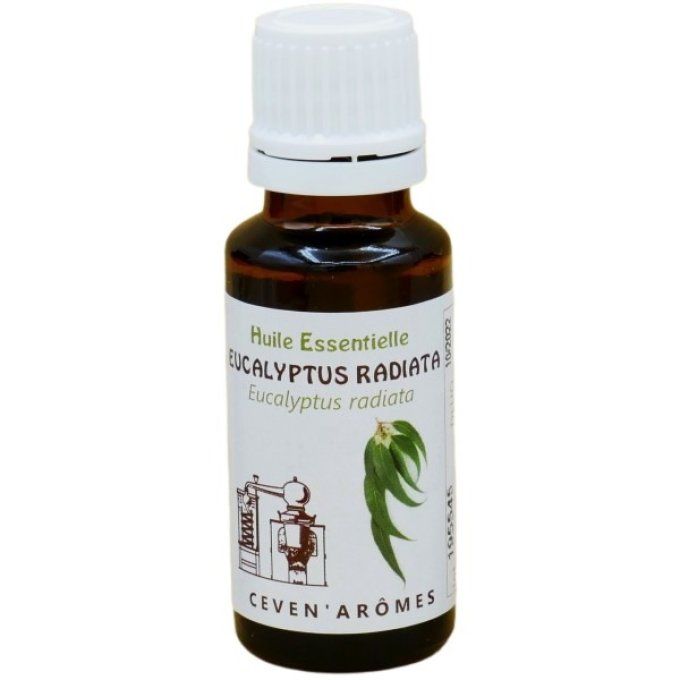 huile-essentielle-eucalyptus-radiata-20ml.jpg