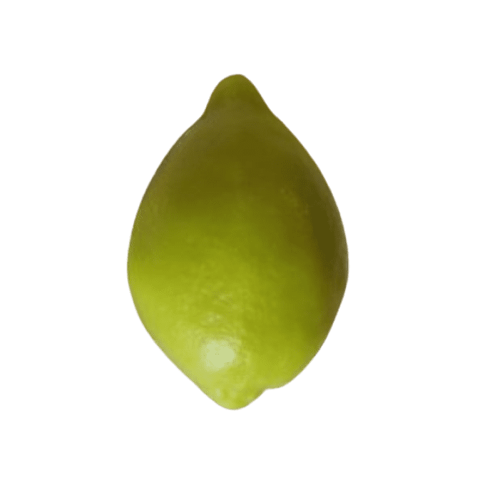 Savon forme et parfum citron vert 30g 